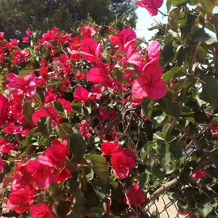 Carolina- Llenaire, Puerto De Hébergement de vacances